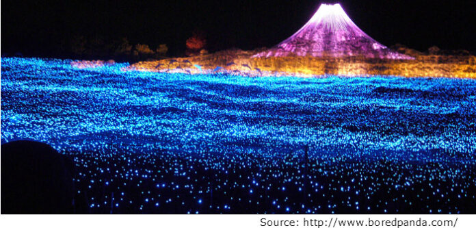 winter-led-light-festival-nabano-no-sato-japan