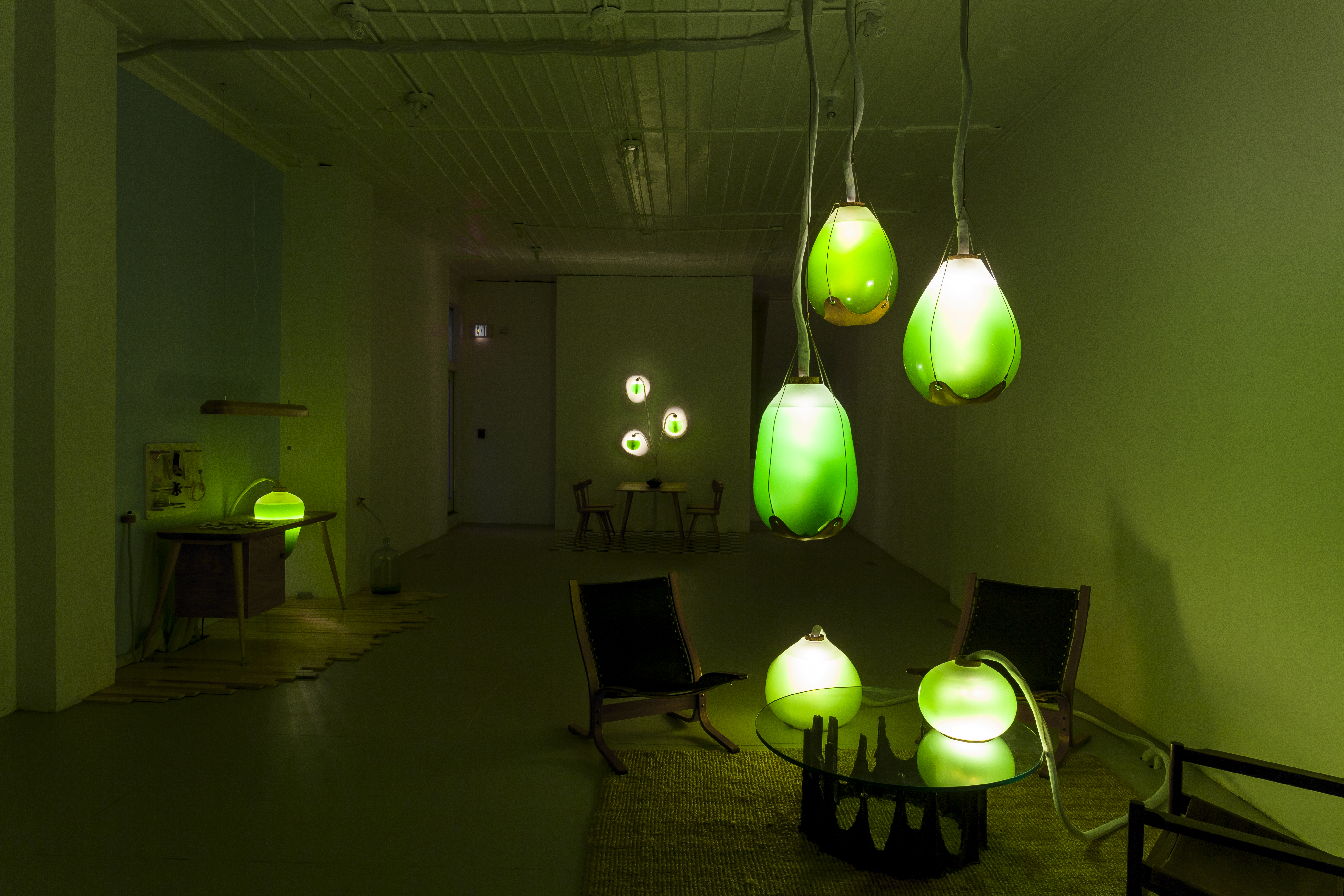 Green Microalgae lamps